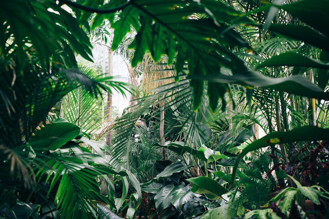 Uptown Jungle: A Thrilling Adventure for Kids